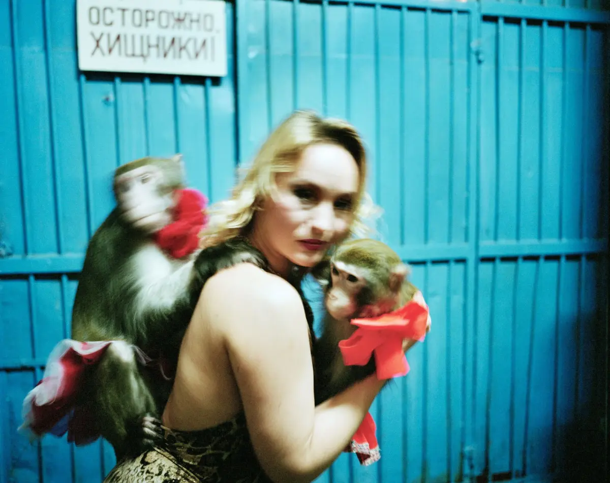 Woman cradles two monkeys wearing red ribbons against a blue metal gate.