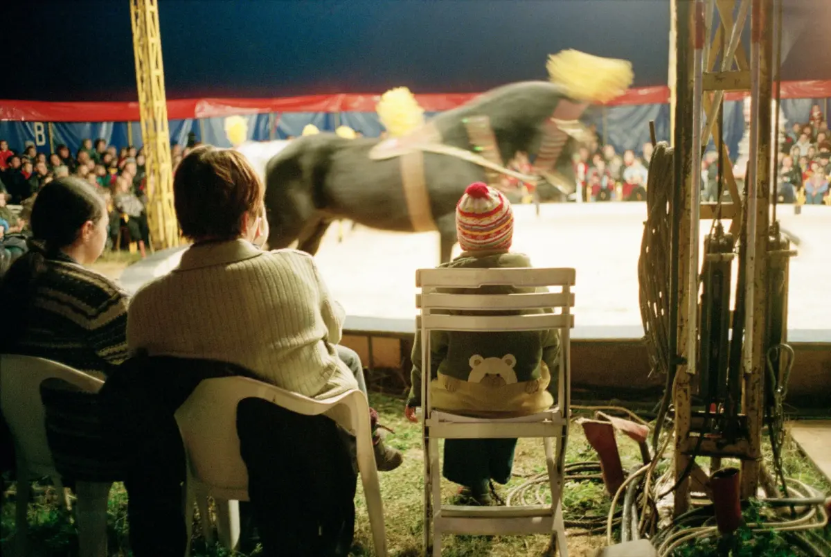 Black horse performing a trick in a circus ring under a red-and-blue tent; foreground shows two adults and a child in a striped hat watching.