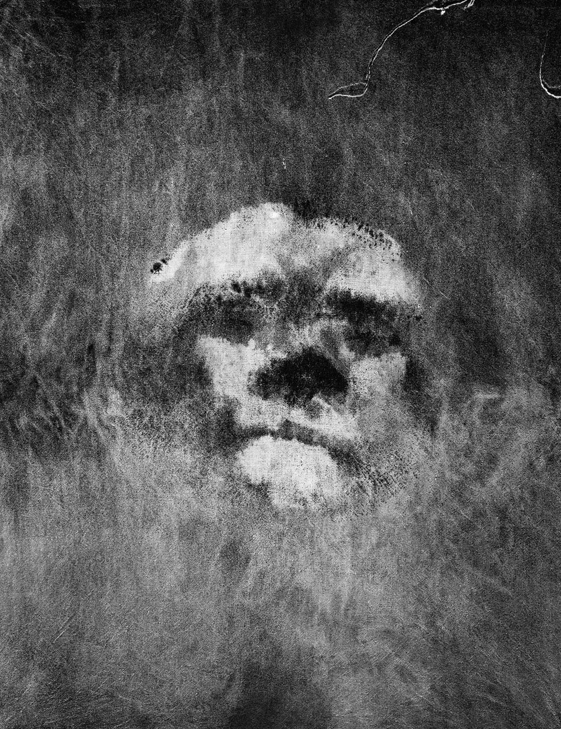 Face of a bearded person emerging from tall grass in a dark field.