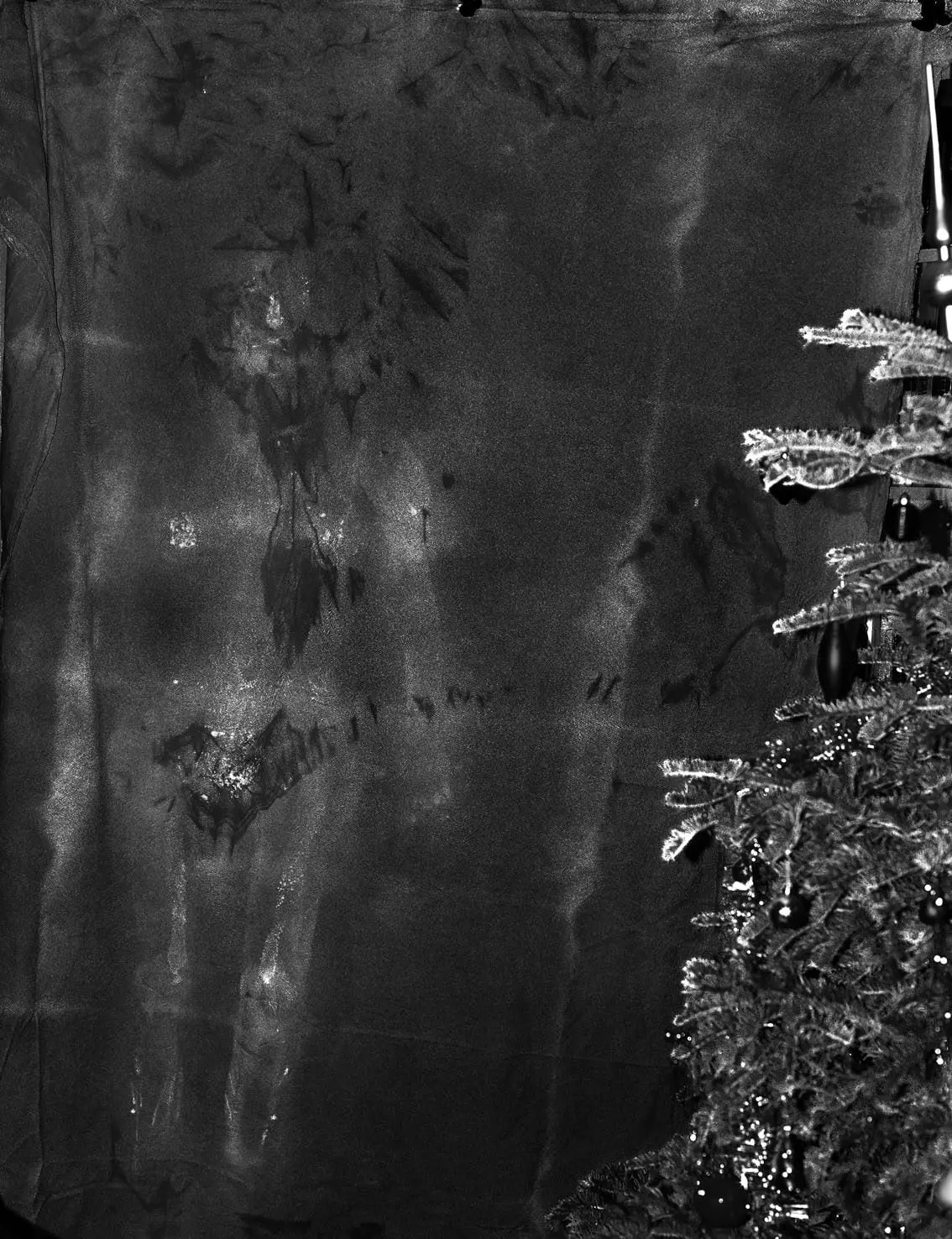 Decorated Christmas tree on the right indoors, with ornaments and lights, against a dark backdrop.