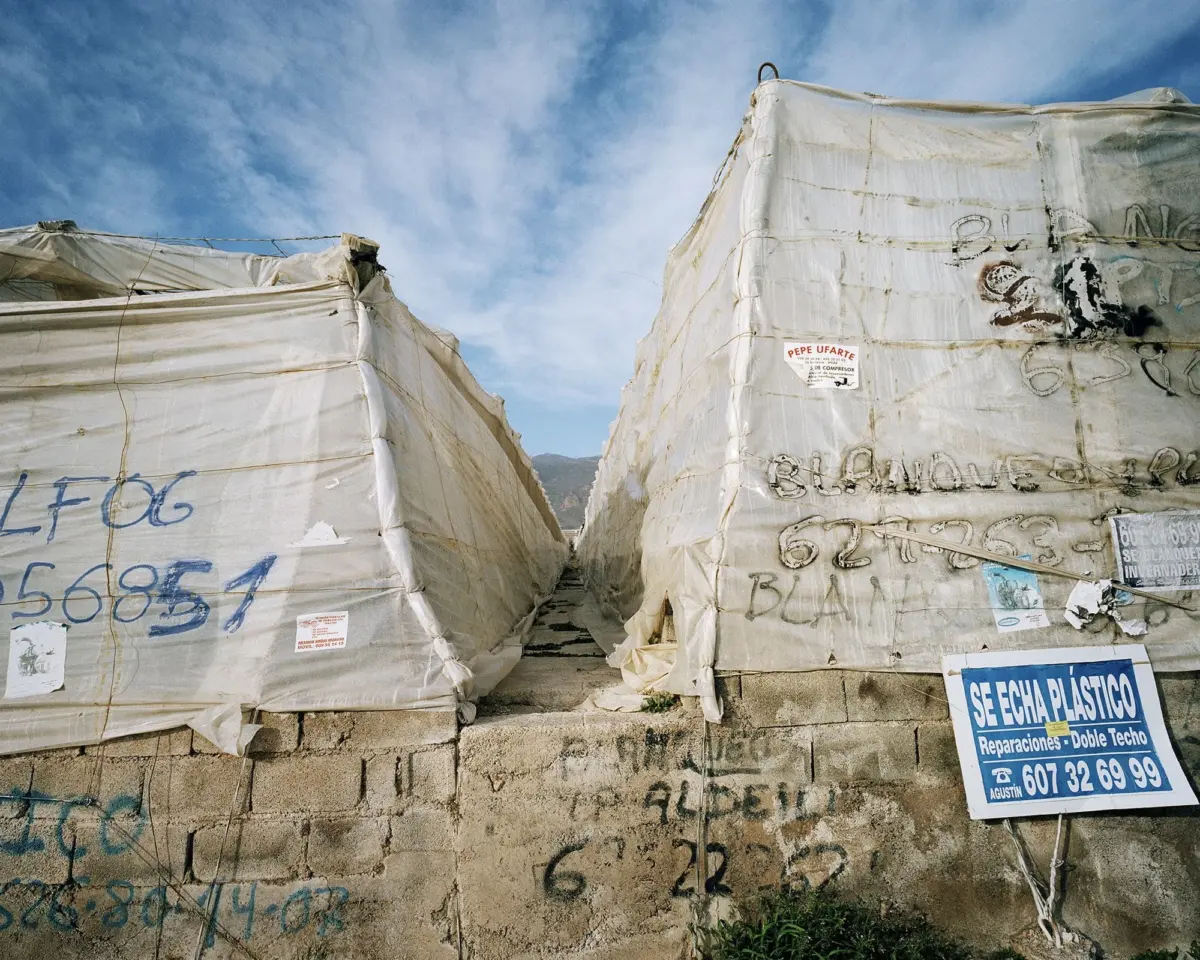 Two tarp-covered tents on a concrete block wall with graffiti, forming a narrow passage; clear blue sky.