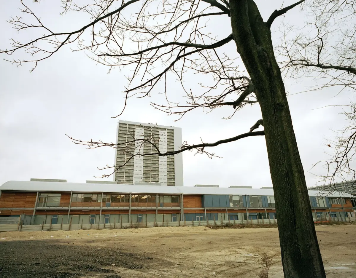 Large tree with bare branches in foreground; urban construction site and modern high-rise building in the background.