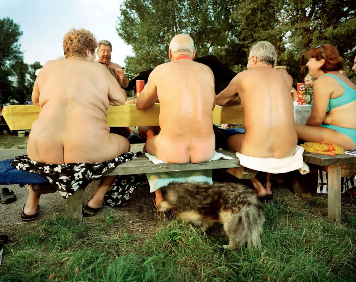 Group of topless adults sitting at a wooden picnic table outdoors, chatting, with a shaggy dog nearby on the grass.