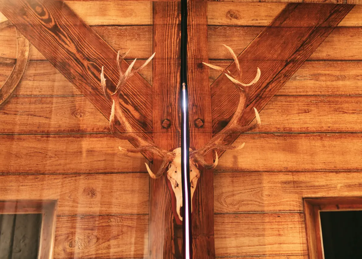Deer skull with antlers mounted on a rustic wooden wall; a neon light strip runs vertically between the wooden beams.