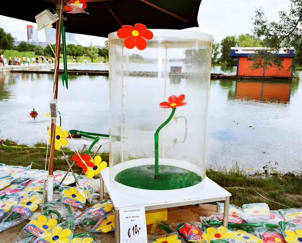 Outdoor art installation: tall clear cylinder with red flower cutouts and green tubing by a lake, yellow plastic flowers scattered around.