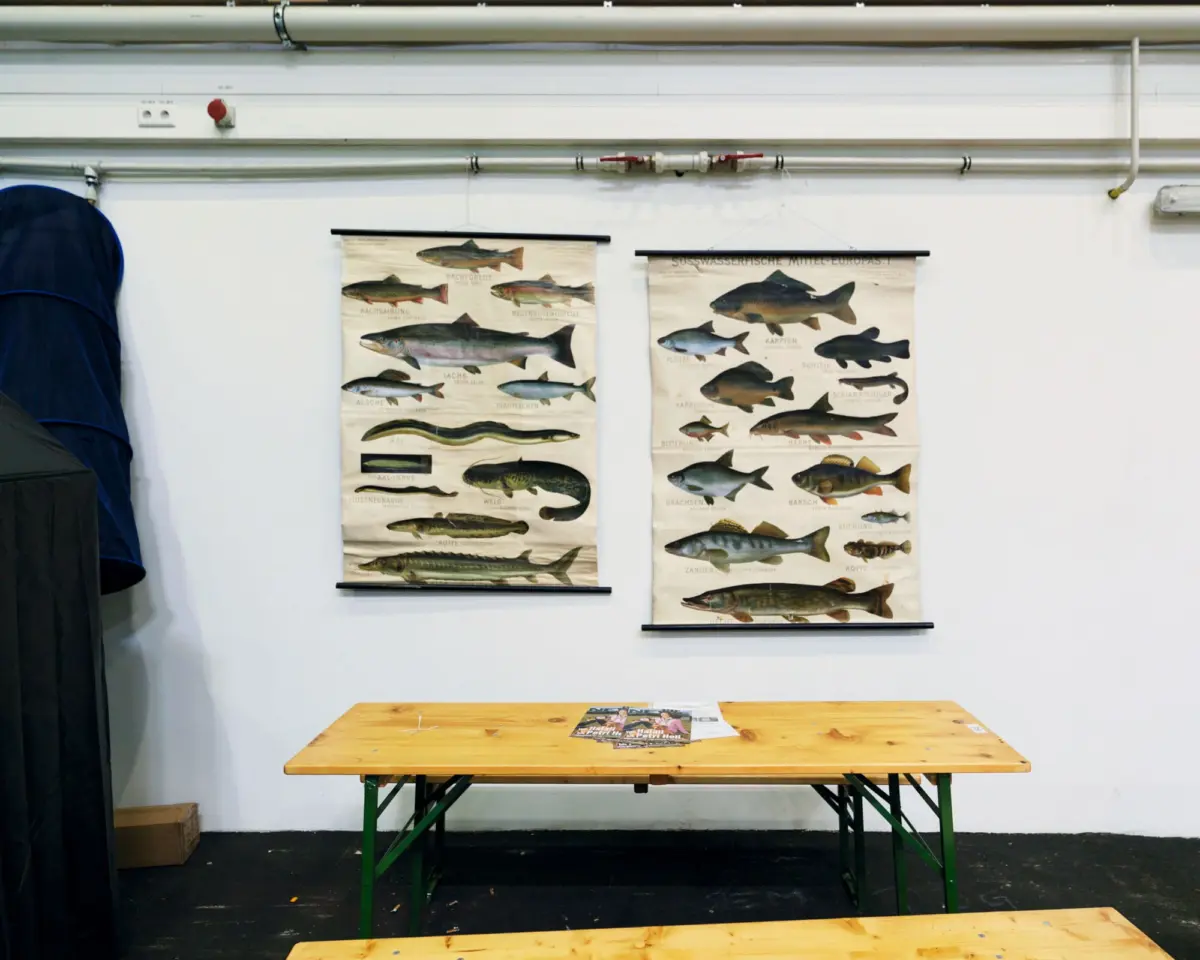 Two fish charts are displayed on a white wall above a wooden folding table in a workshop.