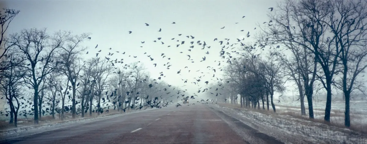 On the way to Odessa.