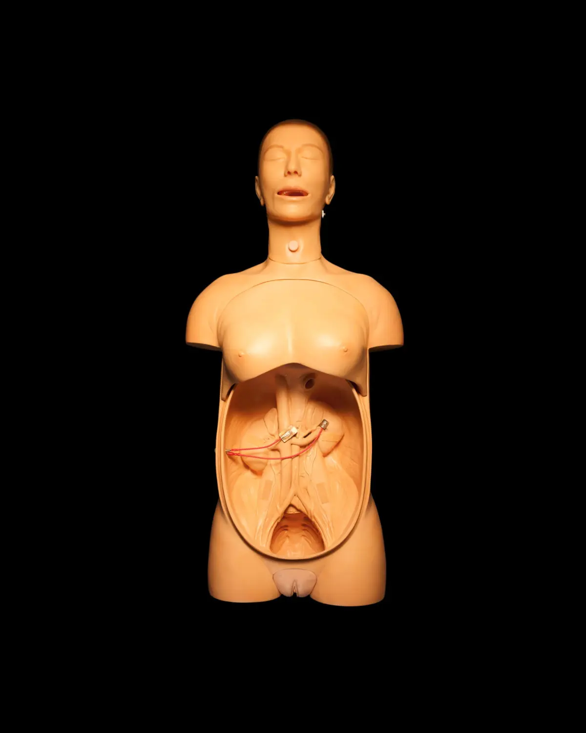 Abdomen manikin used for block internship surgery at Medical Training Center TUM, Munich, Germany.