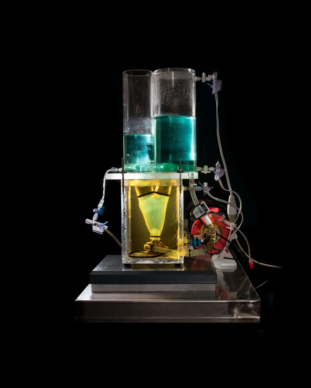 Model of the heart for measurement of flow patterns in the heart assisted b y a pump. The model of the ventricle is filled with a fluid containing microparticles and can be pulsed from outside. It is illuminated by a pulsed laser. A high resolution camera records the path of the particles which is evaluated with computerized image analysis. Ludwig-Boltzmann-Cluster for Cardiovascular Research, Center for Medical Physics and Bio-medical Engineering, Medical University of Vienna and General Hospital Vienna, Austria.