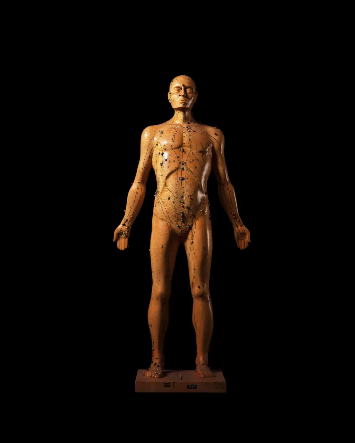 Model for acupuncture for indicating the places to put the acupuncture needles, middle of 20th century. Josephinum, Collections and History of Medicine, Medical University of Vienna, Austria.